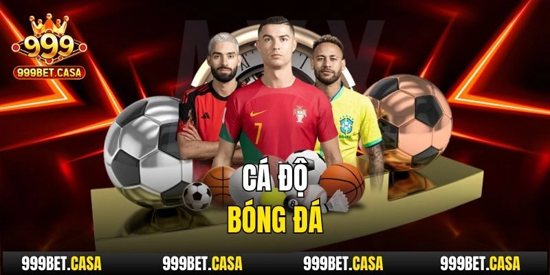 Cá độ bóng đá